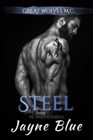Cover of the book Steel by JJ Knight