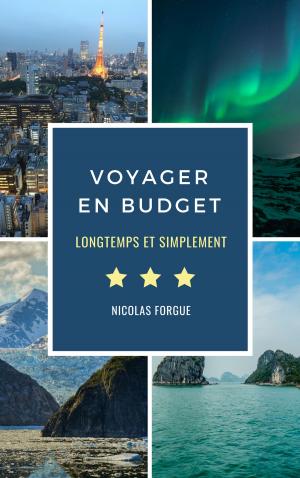 Cover of the book Voyager en budget by Adriano Olivari