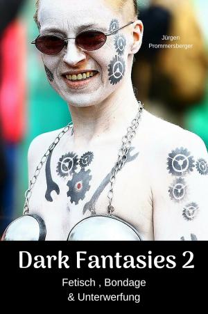 Cover of the book Dark Fantasies - Fetisch , Bondage & Unterwerfung by Z Stefani