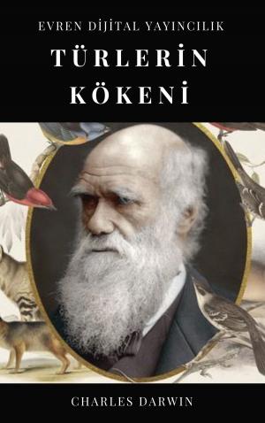 Cover of the book Türlerin Kökeni by Floriana Ciarrocchi