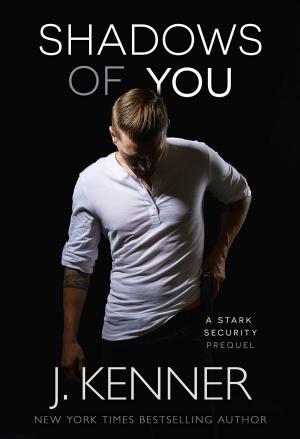 Cover of the book Shadows of You by Adrienne deWolfe