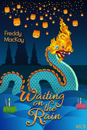 Cover of the book Waiting on the Rain by Mickee Madden