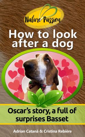 Book cover of How to look after a dog