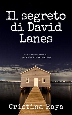 Book cover of IL SEGRETO DI DAVID LANES