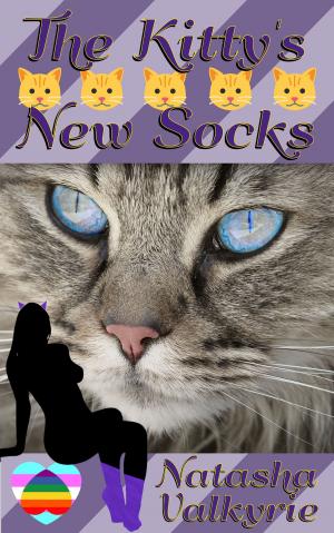 Cover of the book The Kitty's New Socks by Laura Syrenka