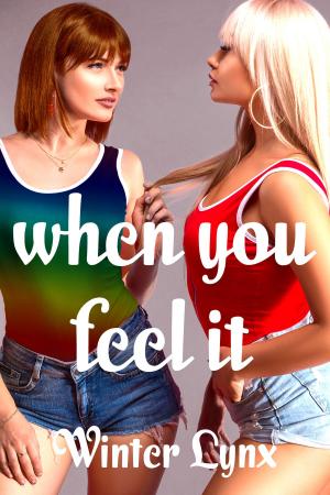 Cover of the book When You Feel It by M'tain A. Dubois