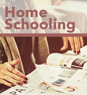 Cover of the book Home Schooling by Guy Deloeuvre