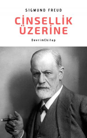 Cover of the book Cinsellik Üzerine by Rob Godfrey