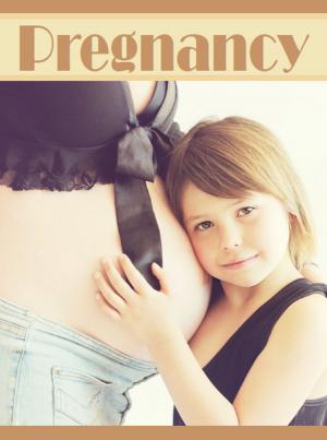 Book cover of Pregnancy