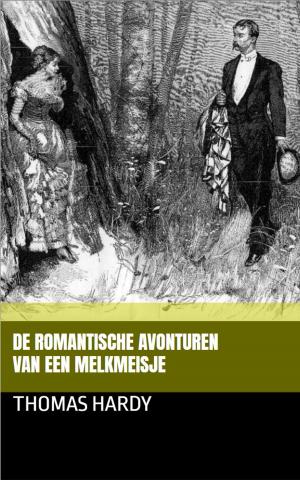 Book cover of De romantische avonturen van een melkmeisje