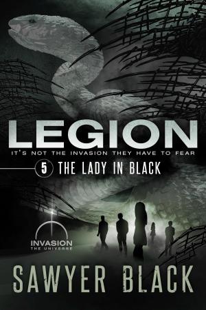 bigCover of the book The Lady in Black by 