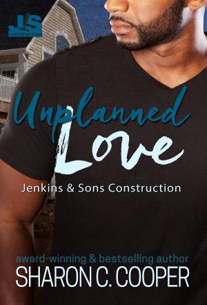 Cover of the book Unplanned Love by Liz Matis
