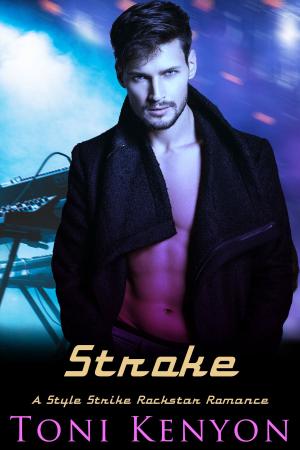 Cover of the book Stroke by Heidi Hutchinson