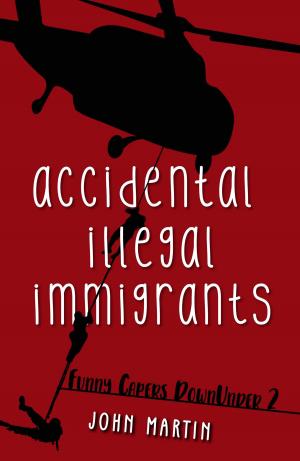 Book cover of Accidental Illegal Immigrants