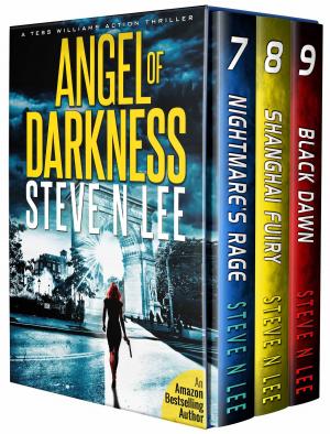 Book cover of Angel of Darkness Action Thrillers Books 07-09