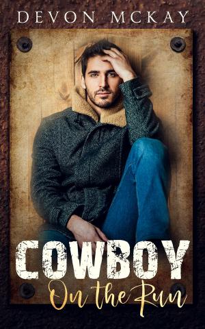 bigCover of the book Cowboy On The Run by 