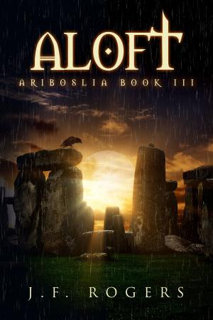 bigCover of the book Aloft by 