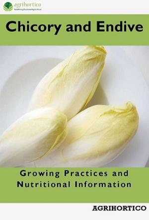 Book cover of Chicory and Endive