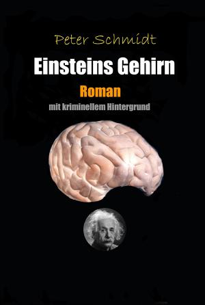 Cover of the book Einsteins Gehirn by Rob Rosen