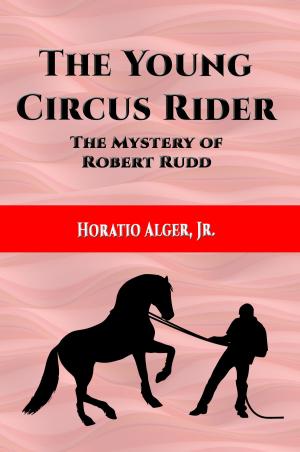 Book cover of The Young Circus Rider (Illustrated)