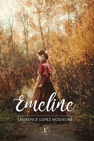 Cover of the book Emeline by Stephen Shore
