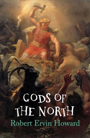 Cover of the book Gods of the North by Arthur Rimbaud