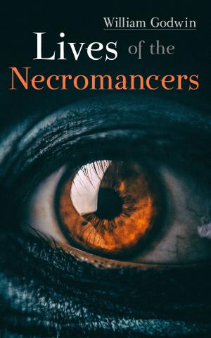 Cover of the book Lives of the Necromancers by Jakob Wassermann