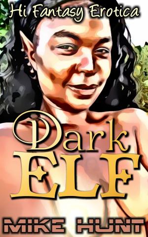 Cover of the book Dark Elf by Andy Lang