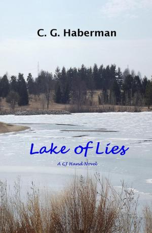 Book cover of Lake of Lies