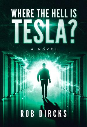 Book cover of Where the Hell is Tesla? A Novel