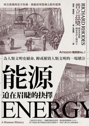 Cover of the book 能源，迫在眉睫的抉擇 by John Brown