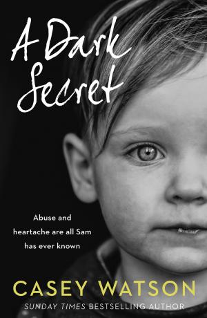 Book cover of A Dark Secret