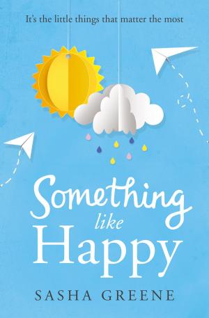 Cover of the book Something Like Happy by Vivian Conroy
