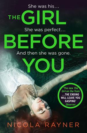 Cover of the book The Girl Before You by Cathy Glass