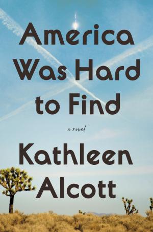 Cover of the book America Was Hard to Find by Silvena Rowe