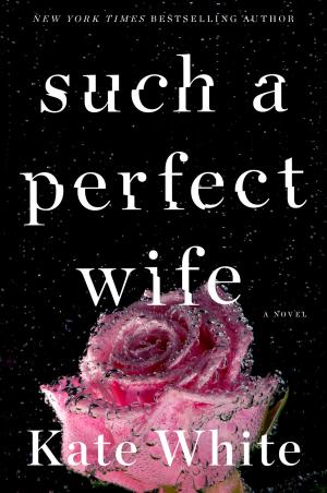 Cover of the book Such a Perfect Wife by Emmy Abrahamson
