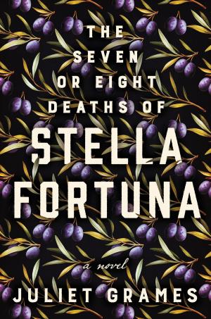 Cover of the book The Seven or Eight Deaths of Stella Fortuna by Jonathan Lethem