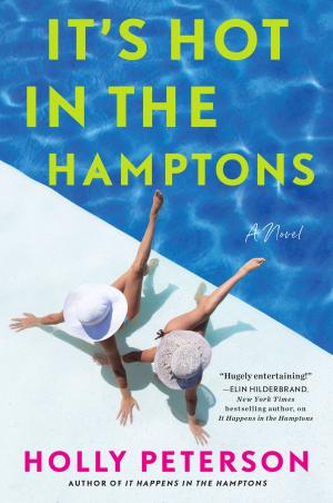 Book cover of It's Hot in the Hamptons