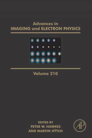 Cover of the book Advances in Imaging and Electron Physics by A. Alberto Magrenan, Ioannis Argyros
