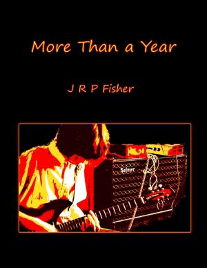 Cover of the book More Than a Year by Gary Beck