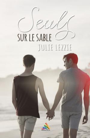 Cover of the book Seuls sur le sable by Jay Lanerys