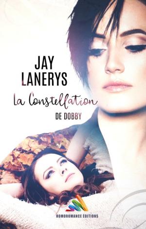 Cover of the book La constellation de Dobby by Karine Vienneau, Judith Gagnon