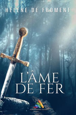 Cover of the book L'âme de fer by Karine Vienneau, Judith Gagnon