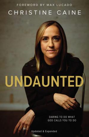 Cover of the book Undaunted by Teresa Shields Parker