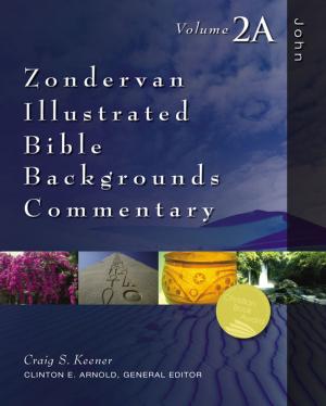 Cover of the book John by M. Daniel Carroll, Thomas E. McComiskey, Tremper Longman III, David E. Garland