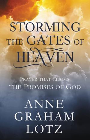 Cover of the book Storming the Gates of Heaven by Philip Yancey