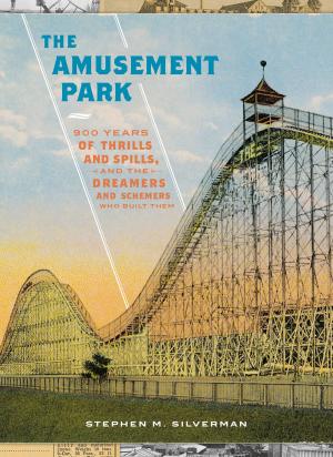 Cover of the book The Amusement Park by Michelle Morgan