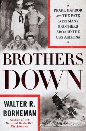 Cover of the book Brothers Down by Robert I. Friedman