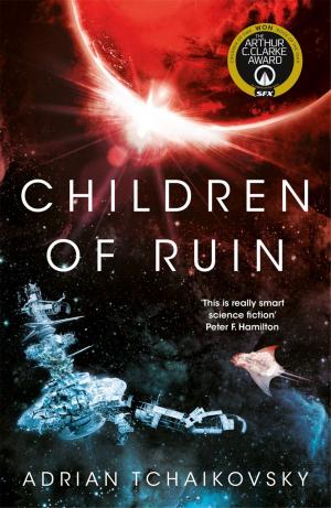Cover of the book Children of Ruin by Rachel Neumeier