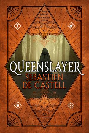 Cover of the book Queenslayer by Tom Holt